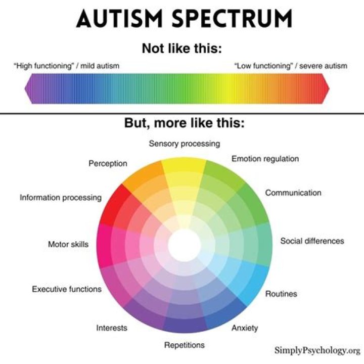 The Autistic Spectrum: Is Adan On It? An Insightful Exploration