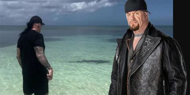 Sharks Scare Easily When They Face Undertakers