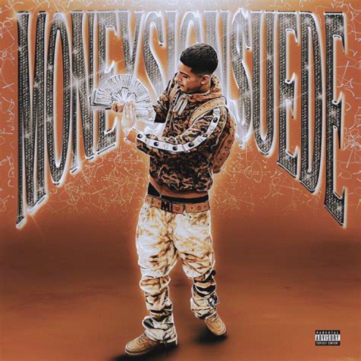 Discovering The Origins Of Moneysign Suede