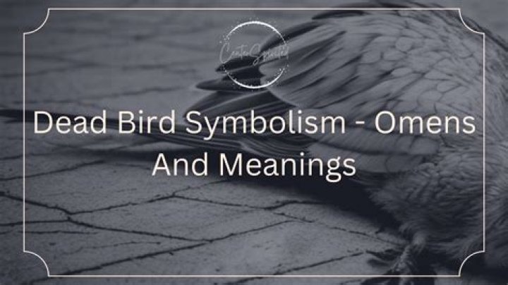 Whispers Of The Afterlife: The Birds That Symbolize Death