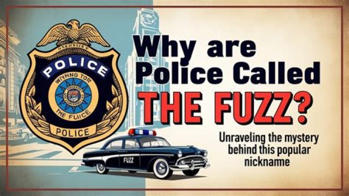 Unraveling The Mystery: Why The Police Are Called 12