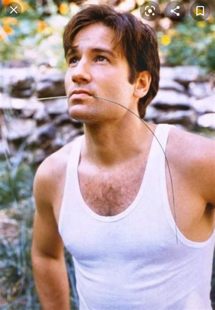 Unveiling The Charisma Of Young David Duchovny